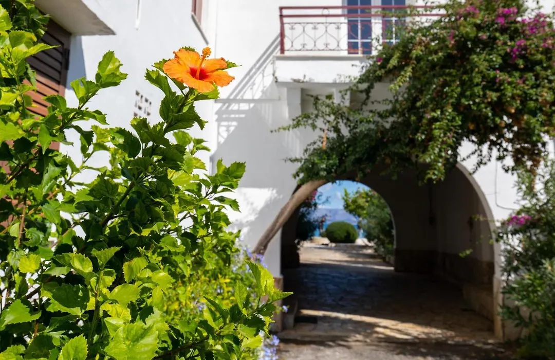 Island Kavos Annex Studios-1